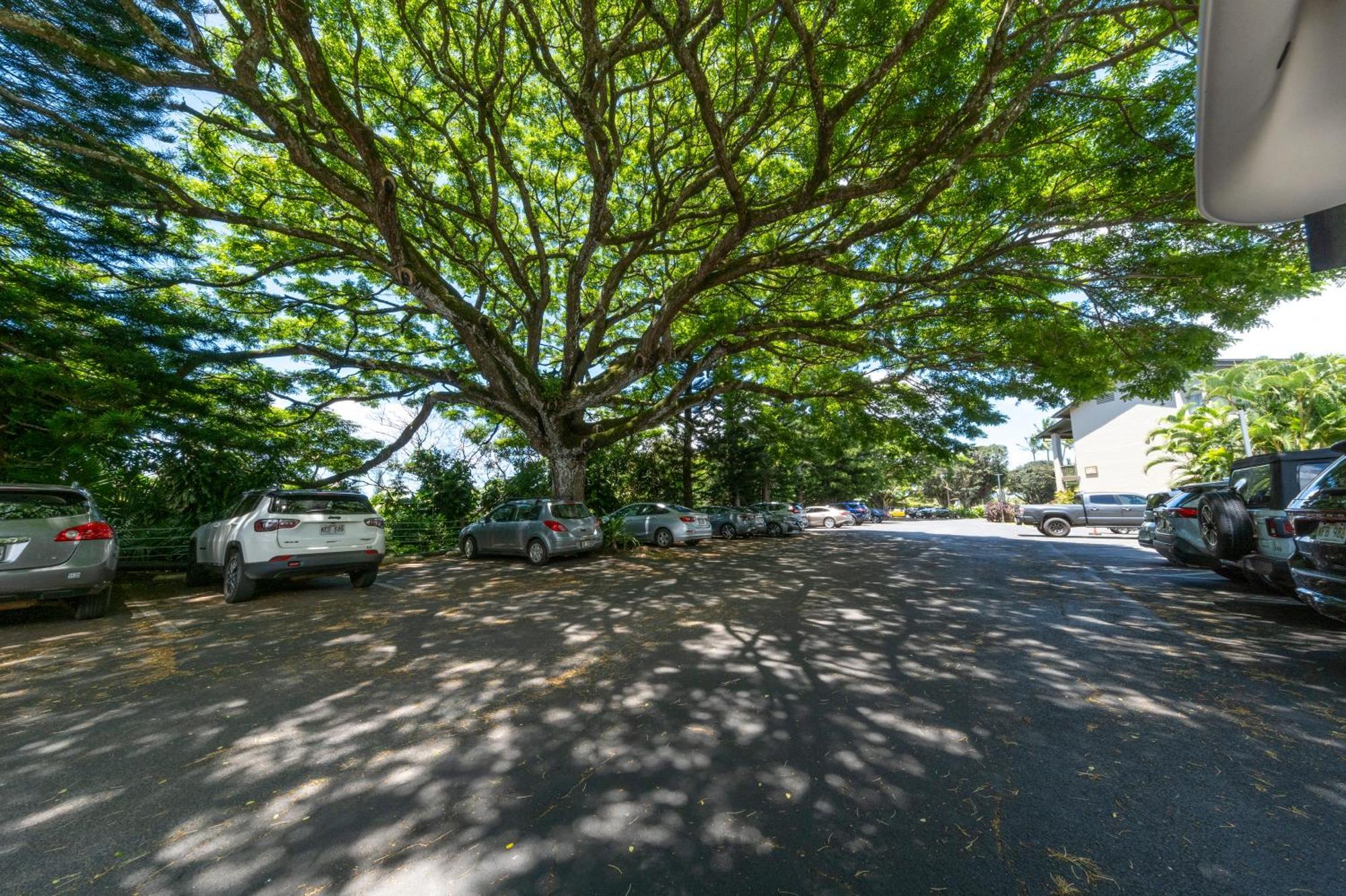 Resort Hanalei Bay Princeville